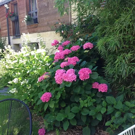 Bed and Breakfast Madeleine et Cie Angers Exterior foto